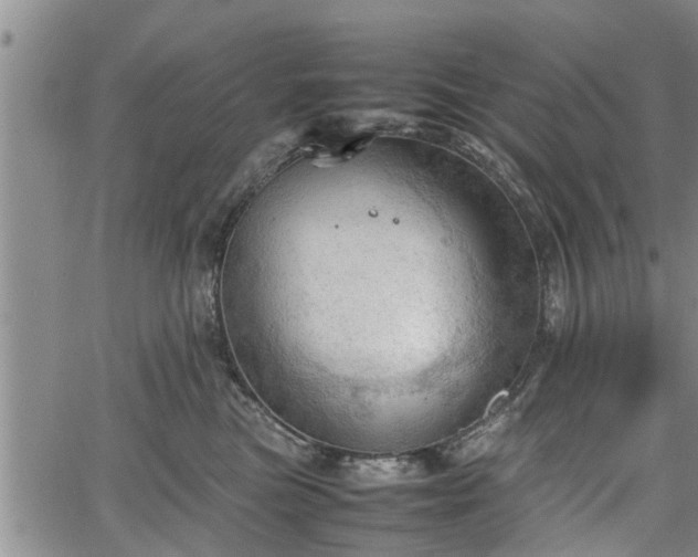 X0000067520473200604101331