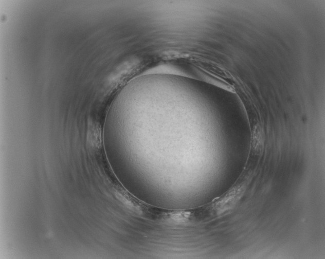 X0000067520474200604101331