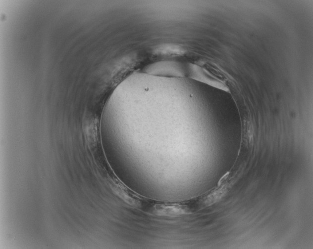 X0000067520475200604101331