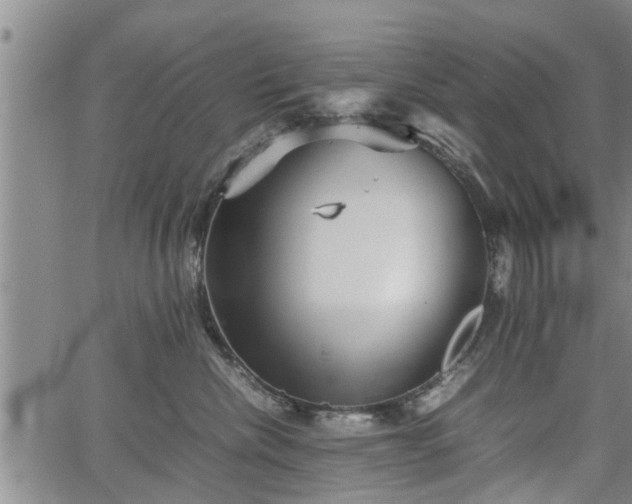 X0000067520476200604101331