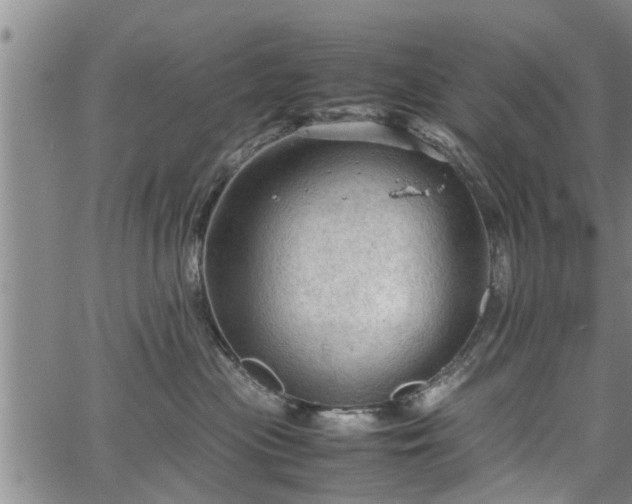 X0000067520477200604101331