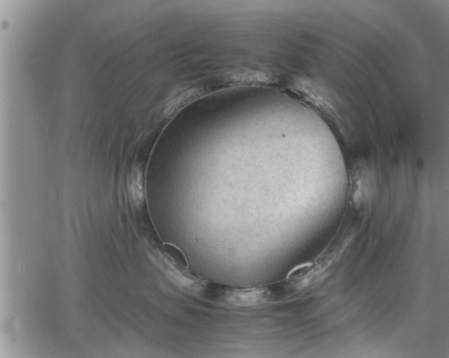 X0000067520479200604101331