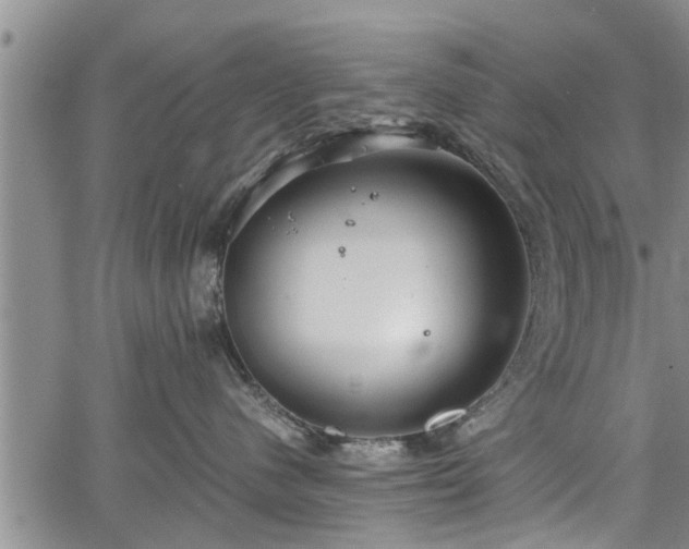 X0000067520480200604101331