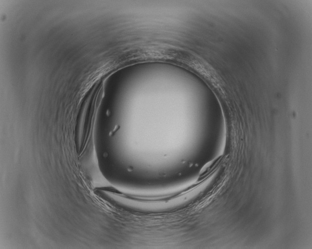 X0000067520481200604101330