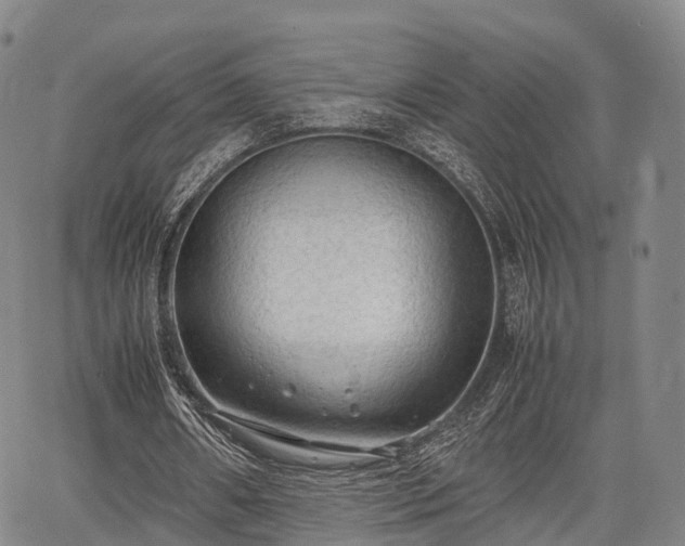 X0000067520482200604101330