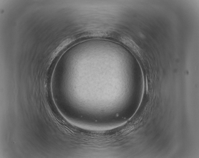 X0000067520483200604101330