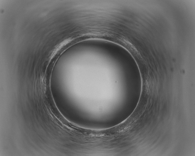 X0000067520484200604101330