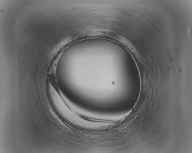 X0000067520485200604101330