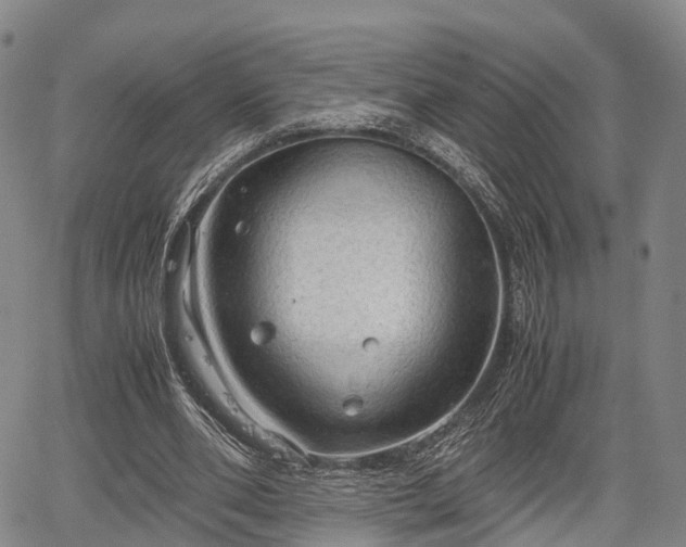 X0000067520486200604101330