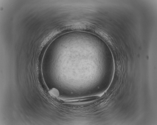 X0000067520487200604101330