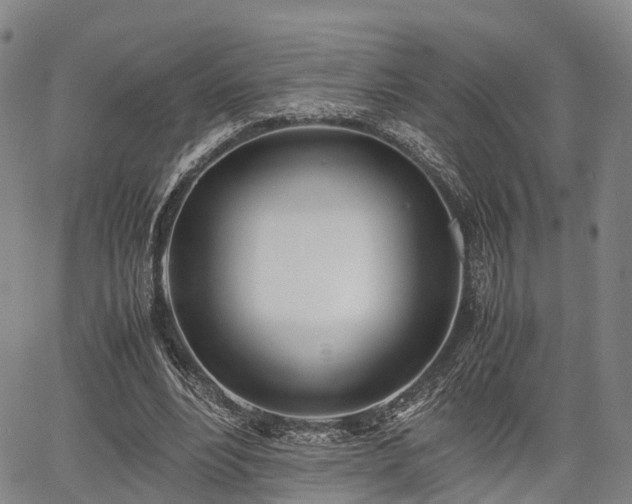 X0000067520488200604101330