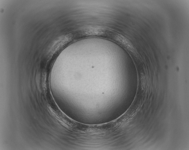 X0000067520490200604101330