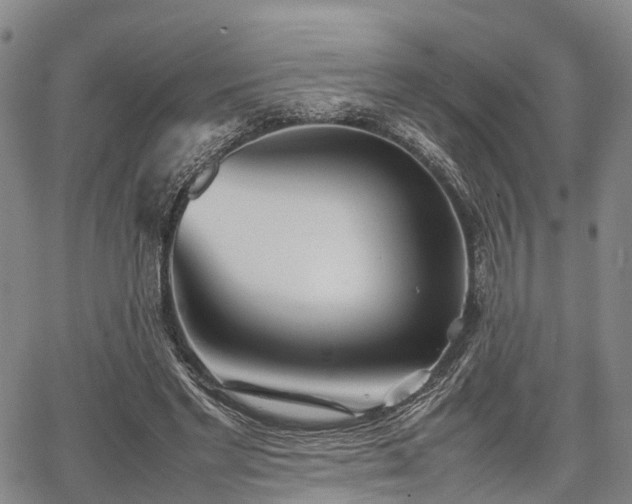 X0000067520493200604101330