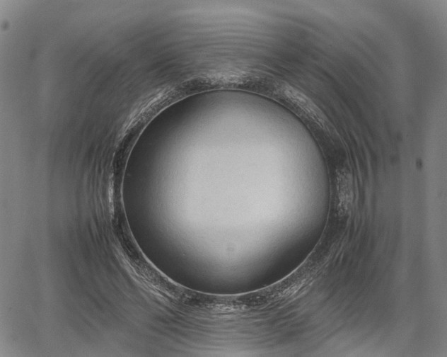 X0000067520494200604101330