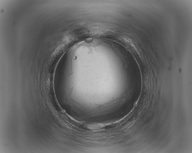 X0000067520495200604101330