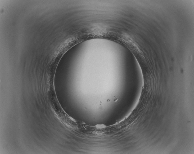 X0000067520496200604101330