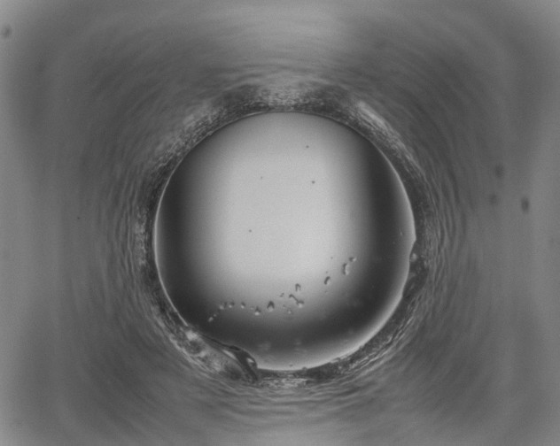 X0000067520497200604101330