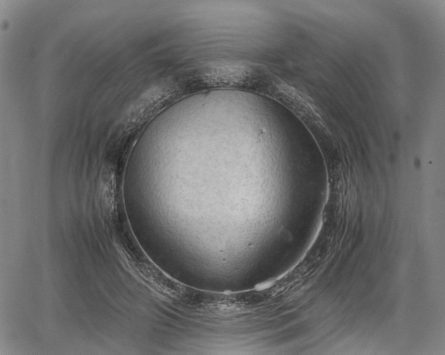 X0000067520498200604101330