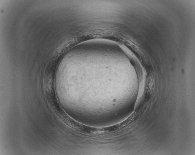 X0000067520499200604101330