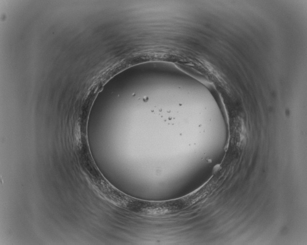 X0000067520500200604101330