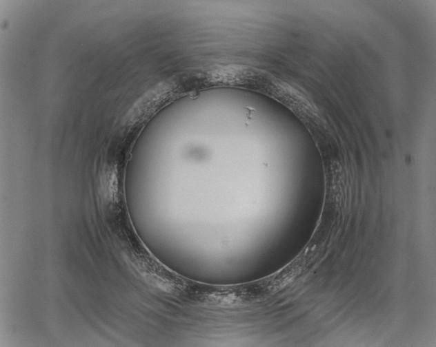 X0000067520502200604101330