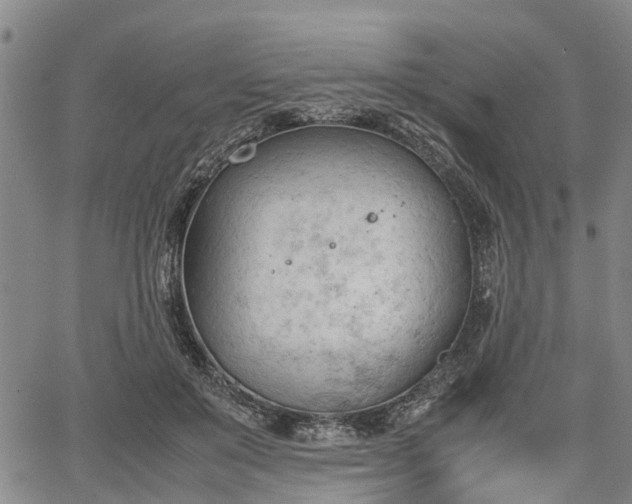 X0000067520503200604101330