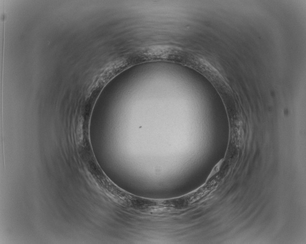 X0000067520504200604101330