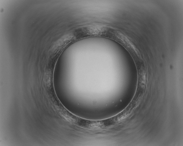 X0000067520505200604101330