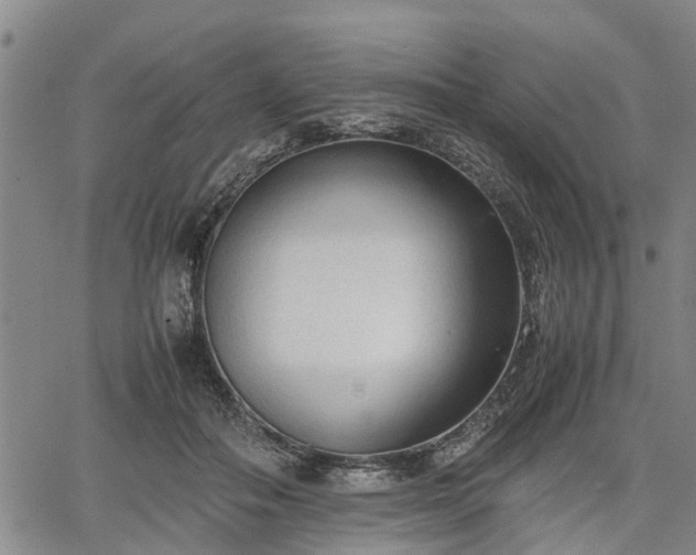 X0000067520506200604101330