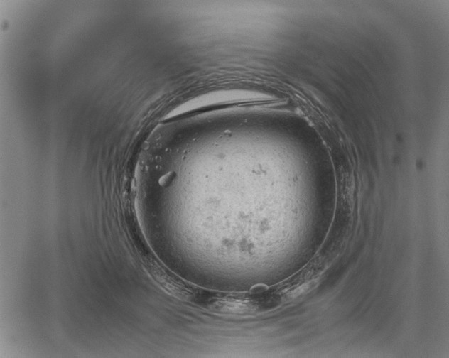 X0000067520507200604101330