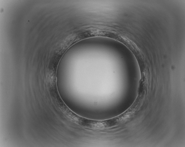 X0000067520513200604101330