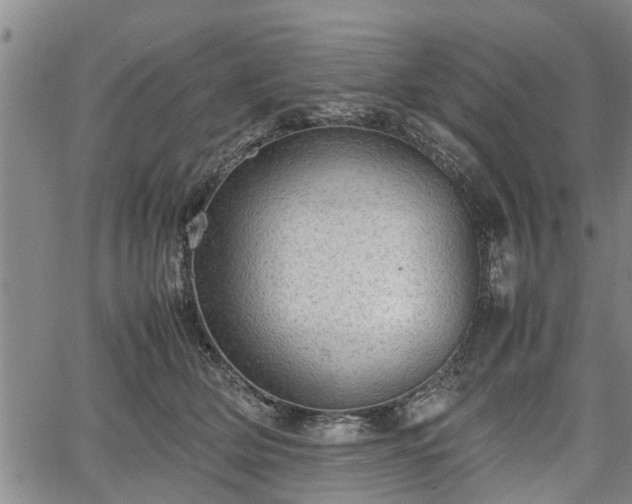 X0000067520514200604101330