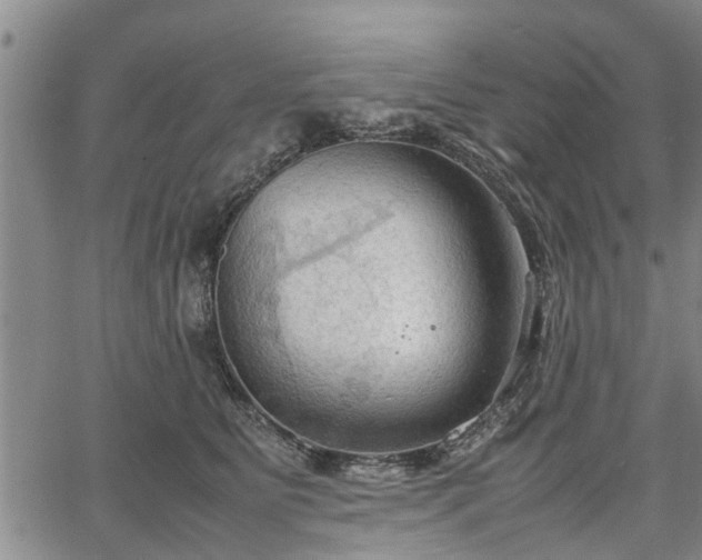 X0000067520515200604101330