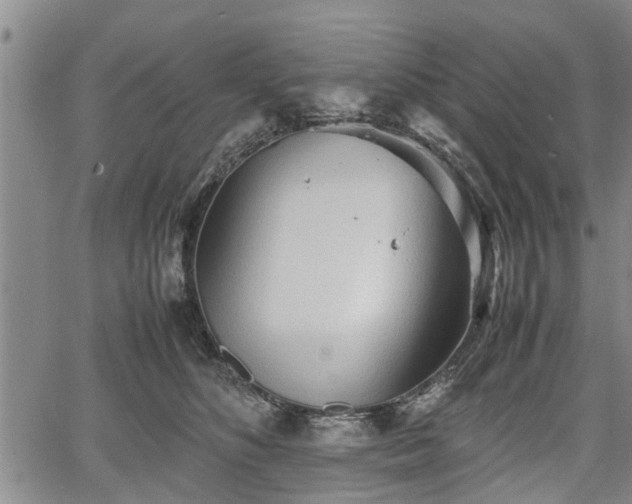 X0000067520516200604101330