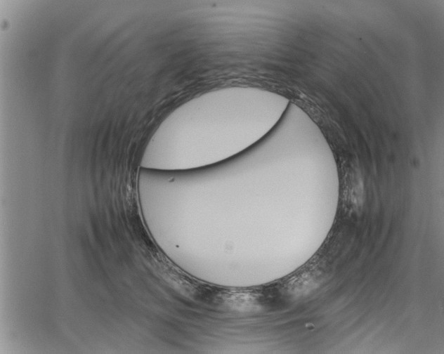 X0000067520518200604101330