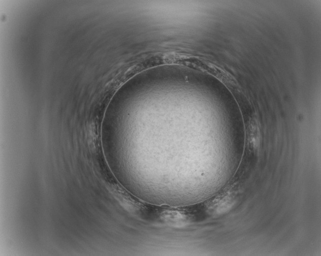 X0000067520519200604101330