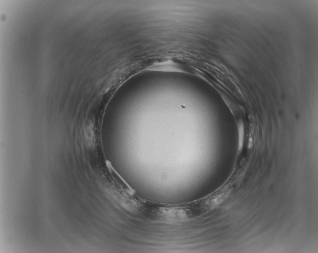 X0000067520520200604101330