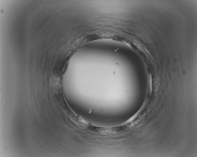 X0000067520521200604101330