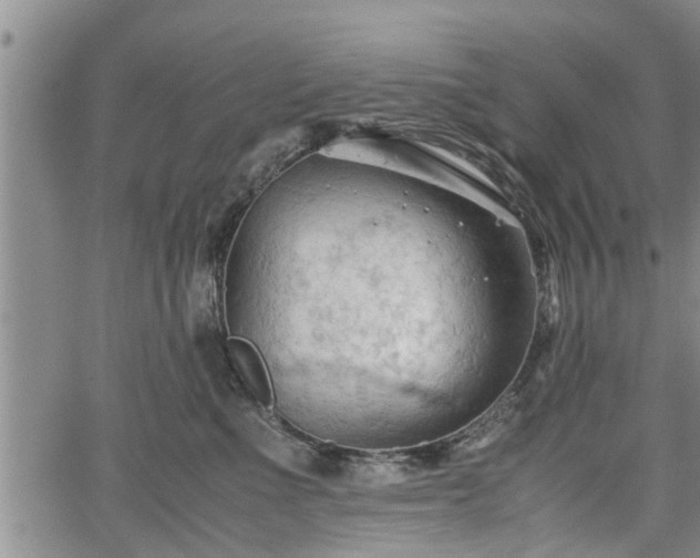 X0000067520523200604101330