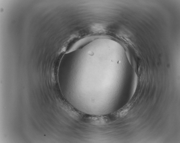 X0000067520524200604101330