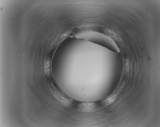 X0000067520526200604101329