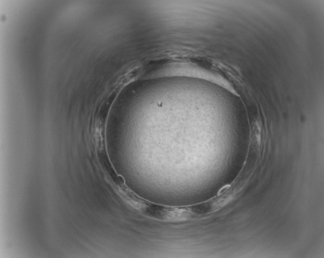 X0000067520527200604101329