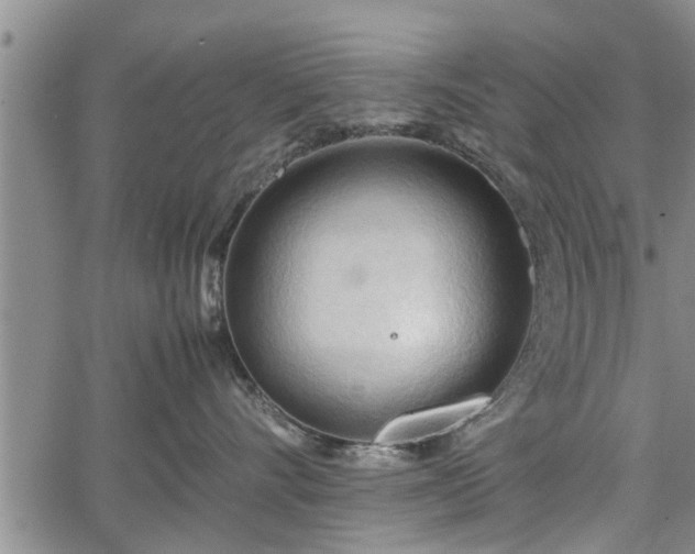 X0000067520528200604101329