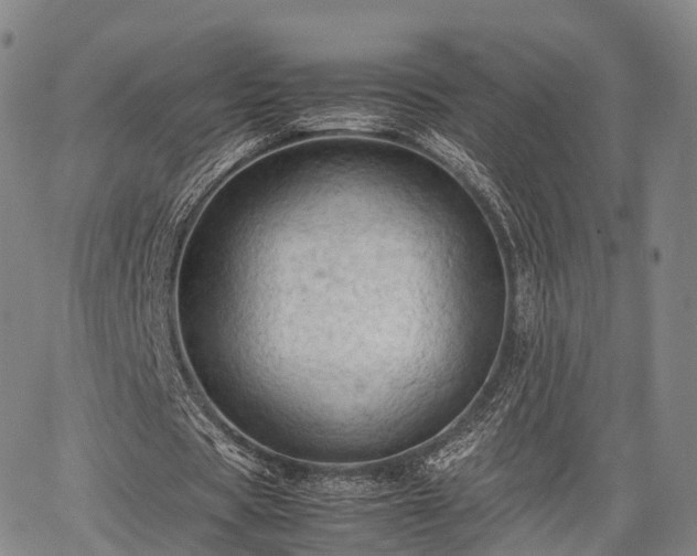 X0000067520529200604101329