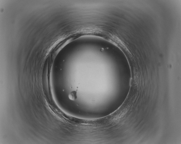 X0000067520530200604101329