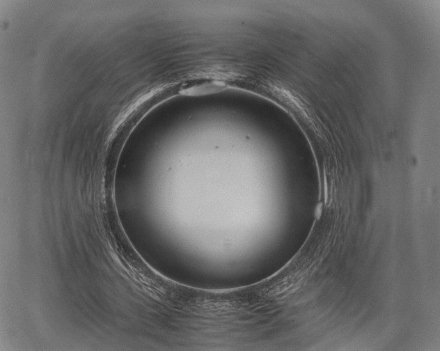 X0000067520531200604101329