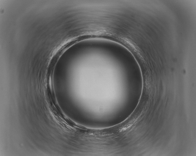 X0000067520532200604101329