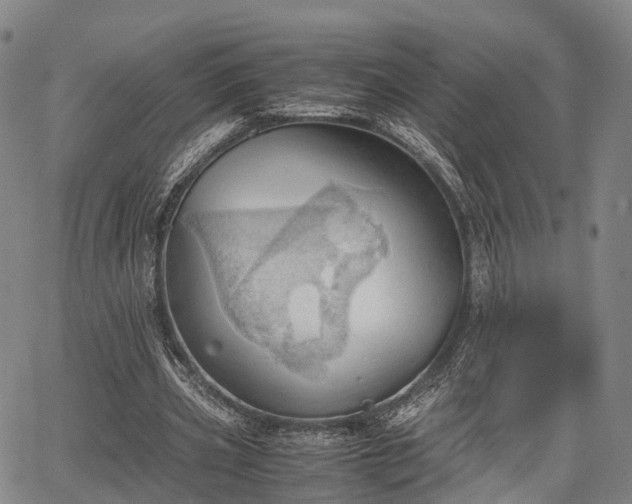 X0000067520533200604101329