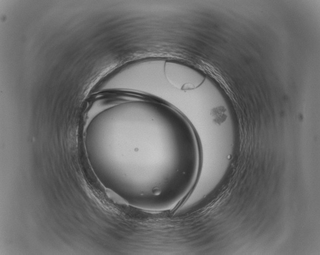 X0000067520534200604101329