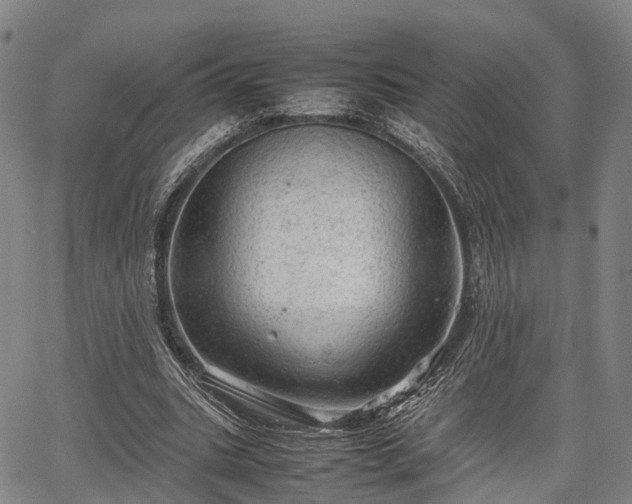 X0000067520535200604101329